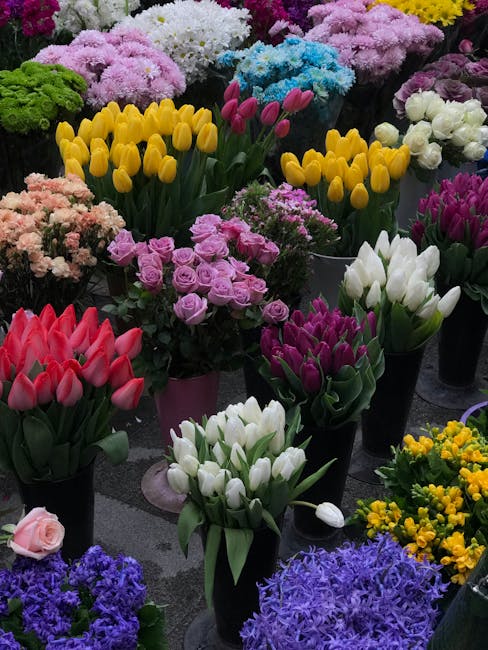 A vibrant display of fresh flowers arranged in various bouquets and pots, featuring yellow tulips with smooth petals and green stems in a purple vase, pastel pink roses with tightly packed petals, whi