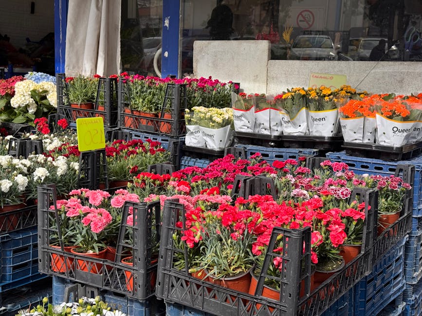 Outdoor display of numerous potted carnations in vibrant shades of pink, red, white, orange, and yellow arranged on black plastic crates outside a florist shop. The flowers feature ruffled petals and